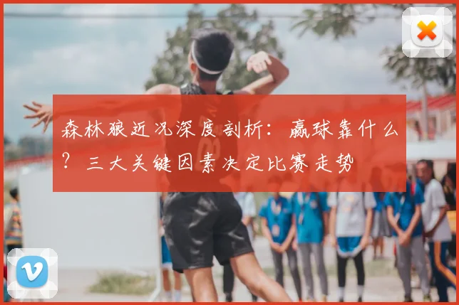 森林狼近况深度剖析：赢球靠什么？三大关键因素决定比赛走势
